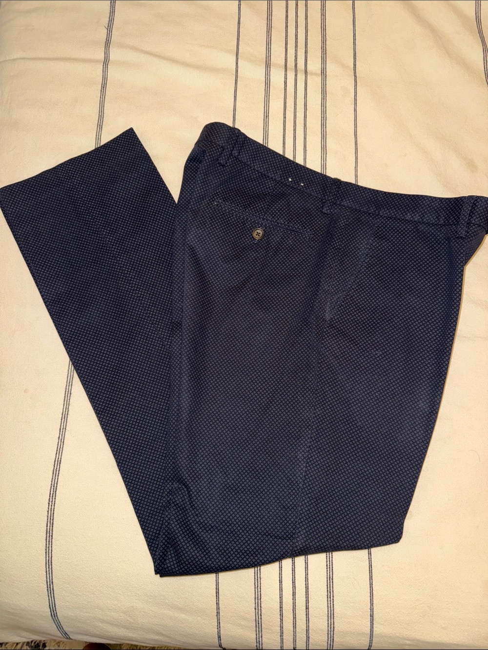 J. Crew Navy Chinos Pants